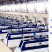 Yunnan Aluminium CO., LTD